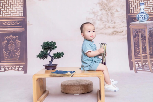 辽宁可爱的企鹅宝宝